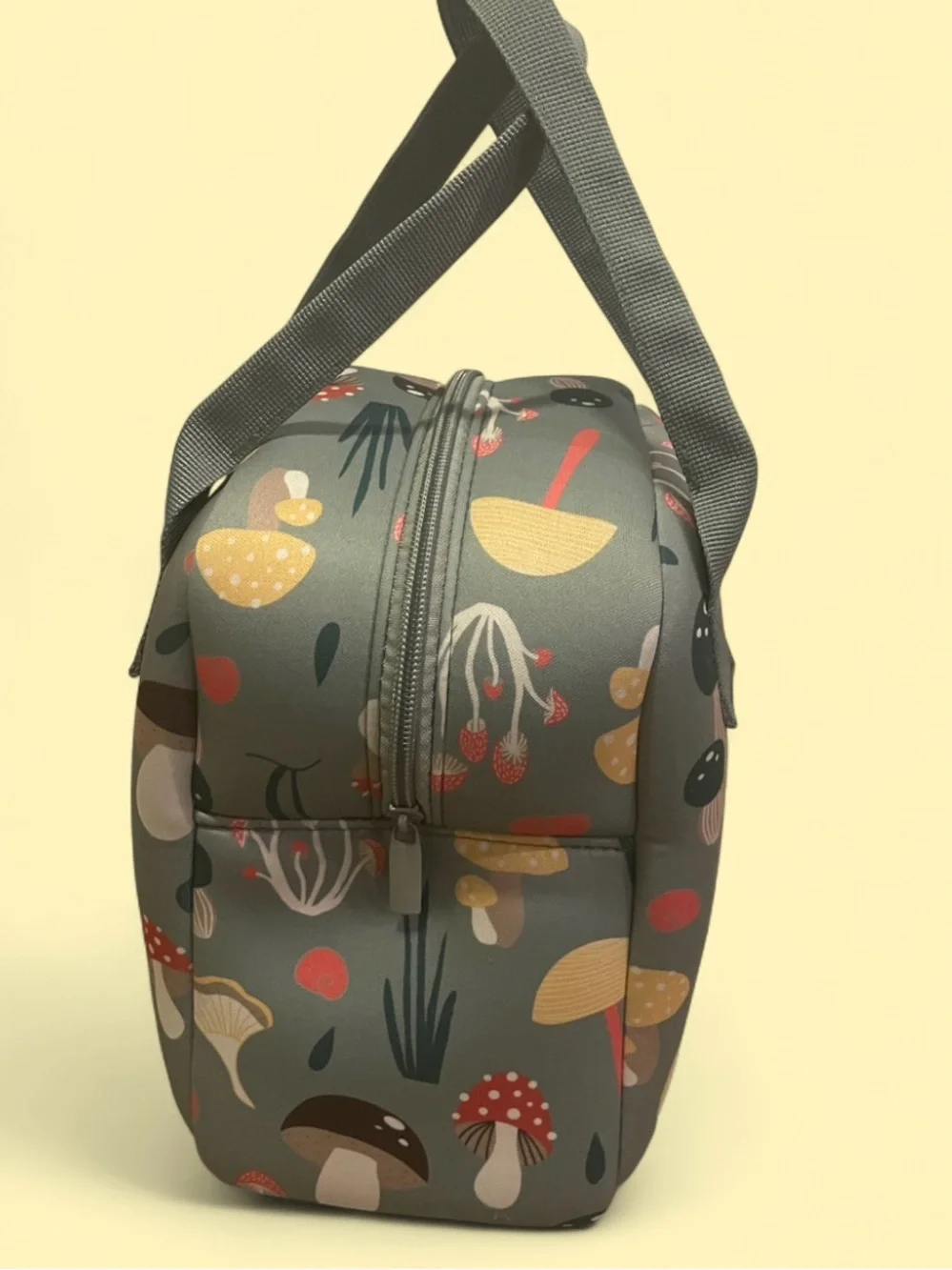 Mine mushroom 🍄 lunchbox